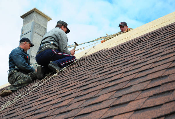 Best Storm Damage Roof Repair  in Sharon Hill, PA